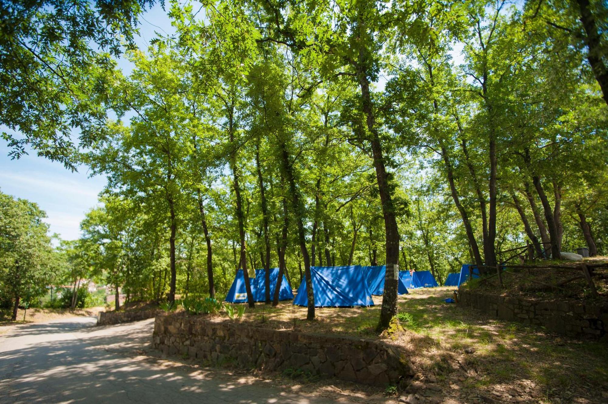 אימפרונטה Hu Firenze Certosa Camping In Town מראה חיצוני תמונה